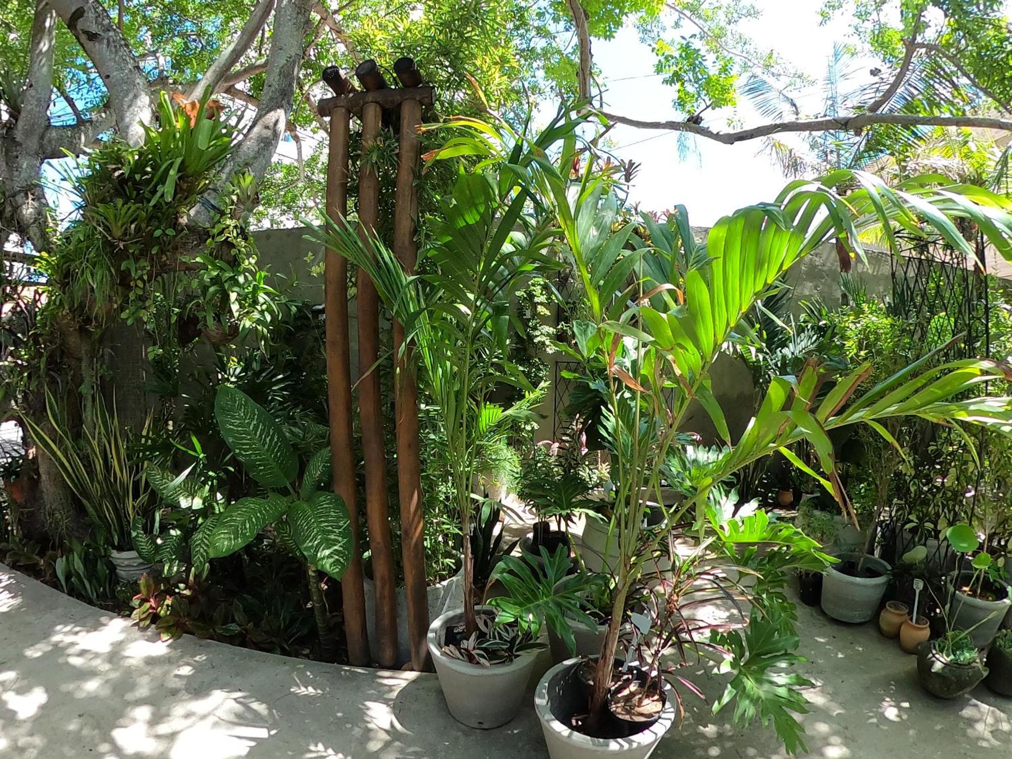 Residencial Casa Flor Atelier Botanico, Ponta Negra Apartment Natal