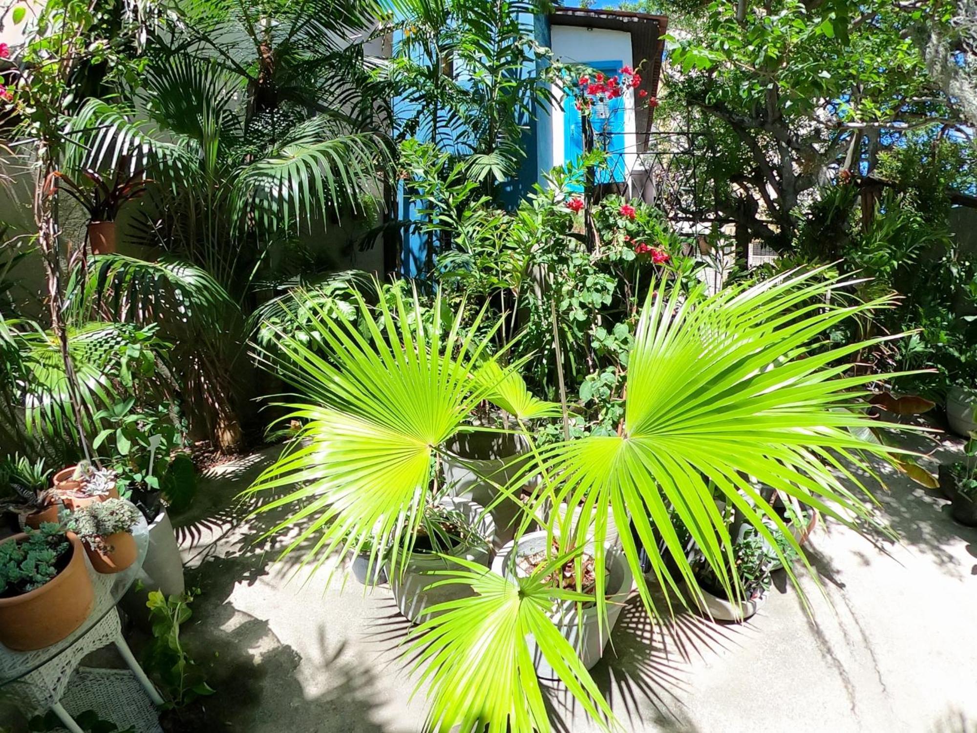 Residencial Casa Flor Atelier Botanico, Ponta Negra Apartment