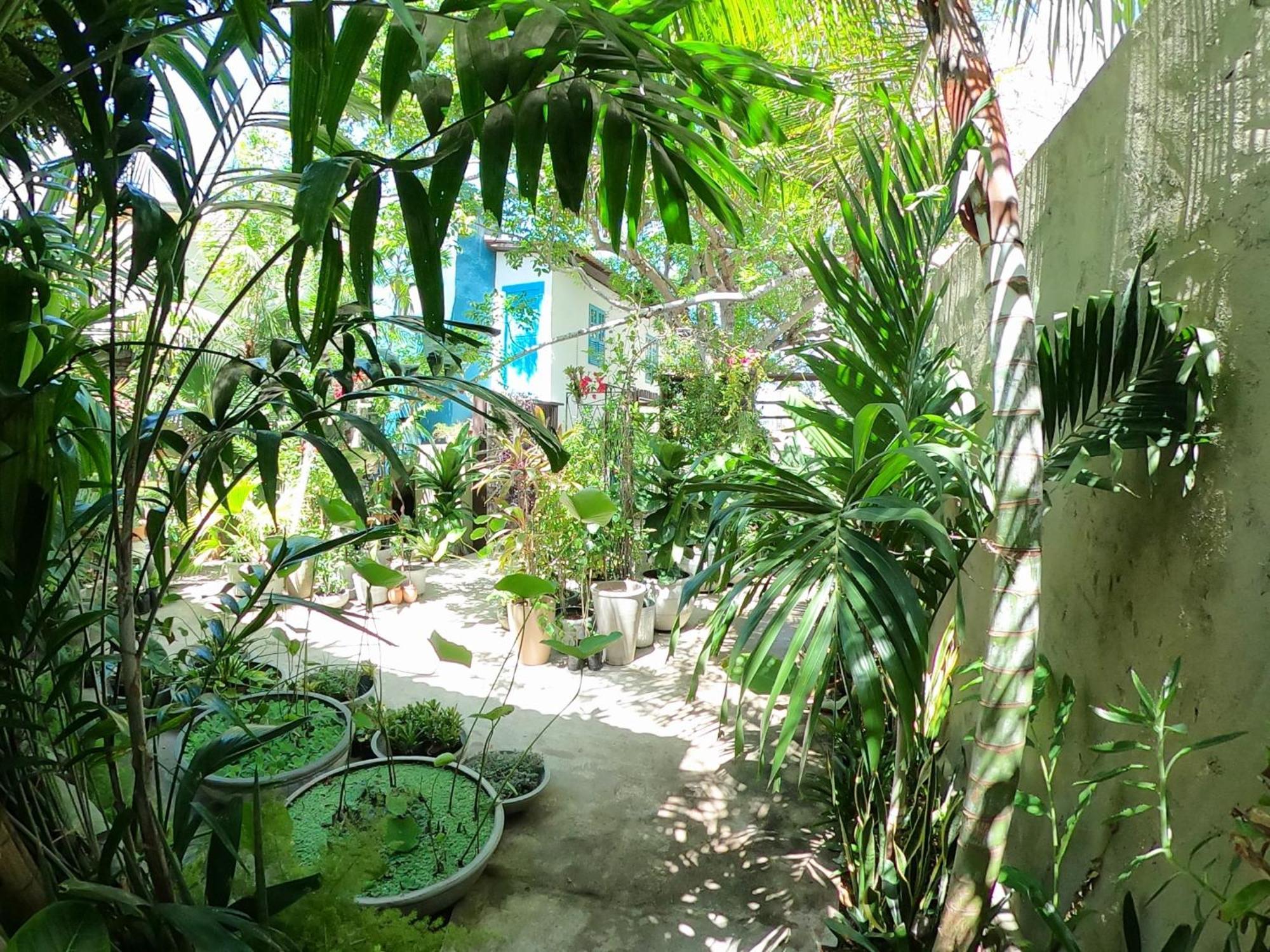 Residencial Casa Flor Atelier Botanico, Ponta Negra