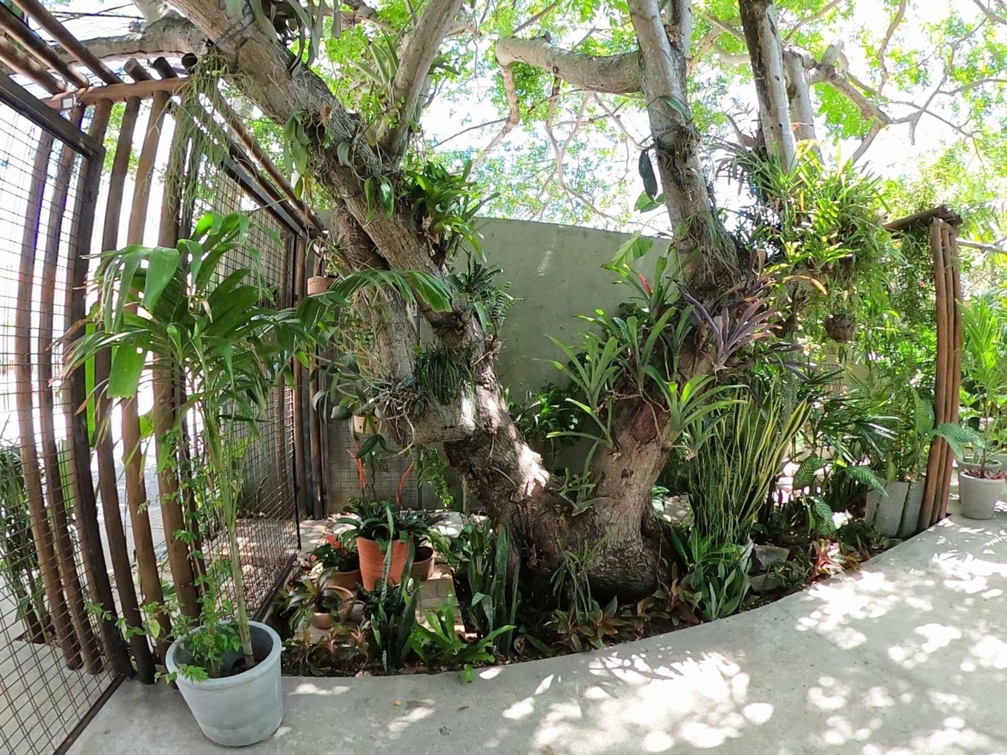 Residencial Casa Flor Atelier Botanico, Ponta Negra Natal