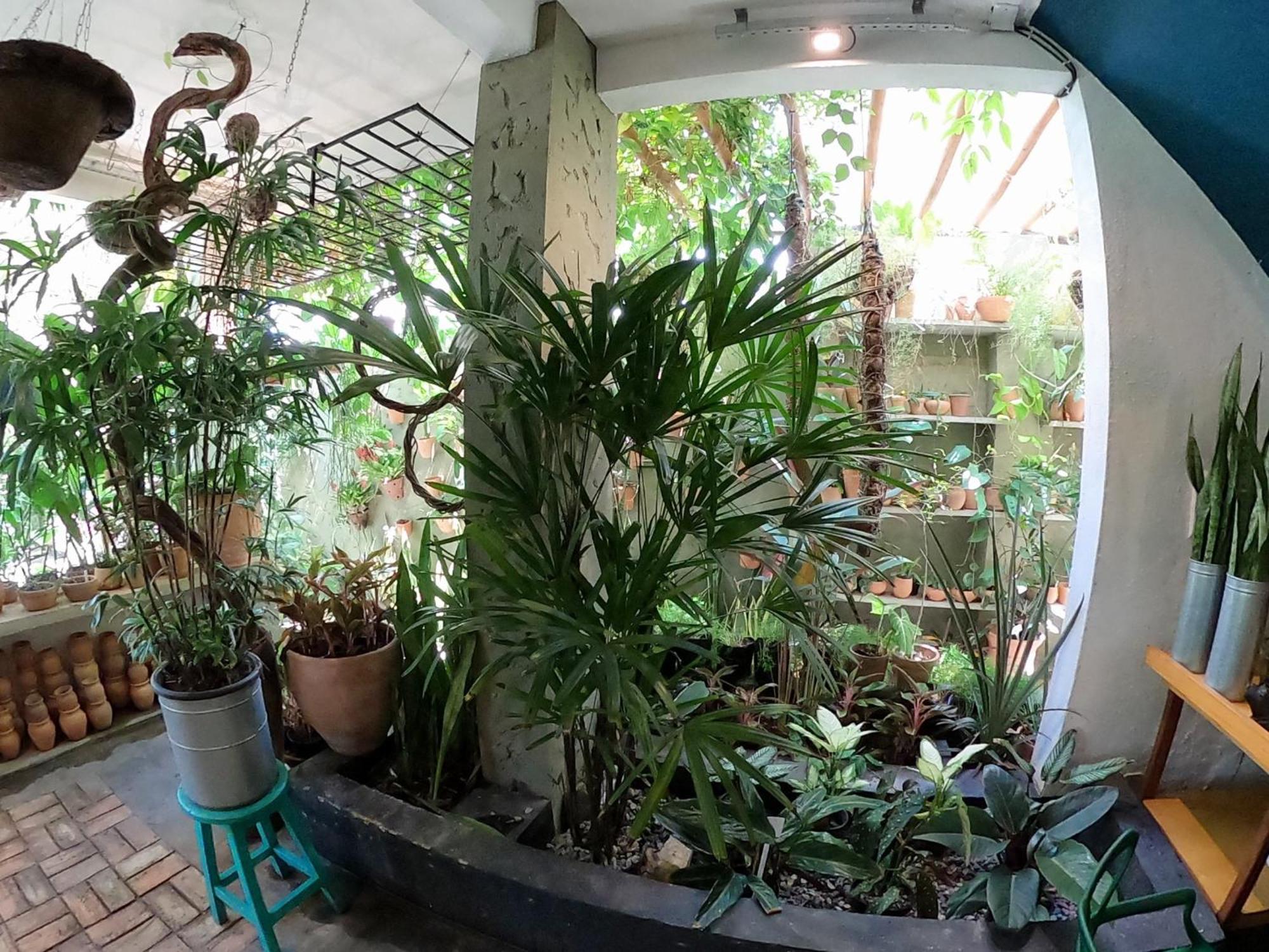 Residencial Casa Flor Atelier Botanico, Ponta Negra Natal