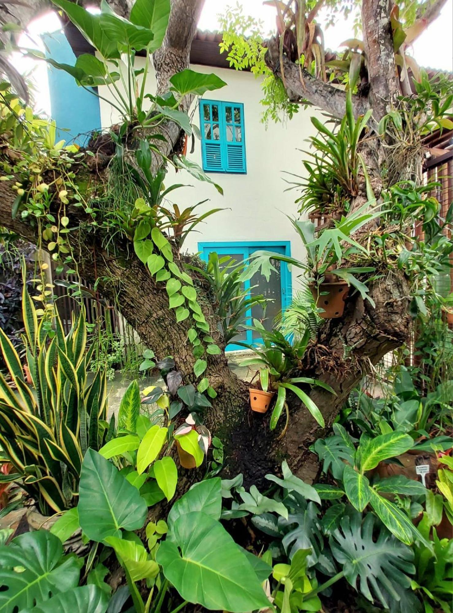 Residencial Casa Flor Atelier Botanico, Ponta Negra Apartment