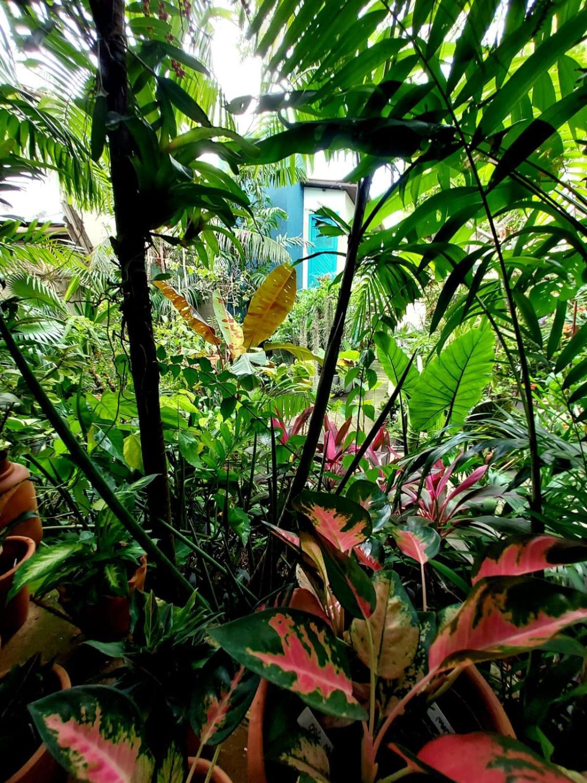 Residencial Casa Flor Atelier Botanico, Ponta Negra
